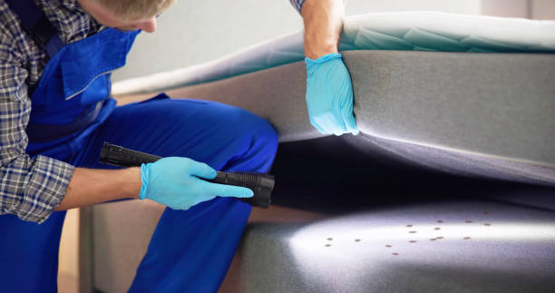 Best Pest Inspection Near Me  in Ellsworth, KS
