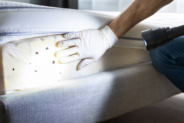 Best Exterminator Services  in Ellsworth, KS