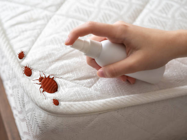 Best Pest Inspection Near Me  in Ellsworth, KS
