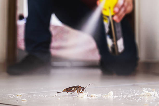 Best Best Pest Control Near Me  in Ellsworth, KS